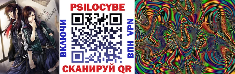KRAKEN онион  Химки  Псилоцибиновые грибы Cubensis  купить наркотик 
